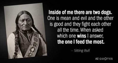 Sitting Bull quote