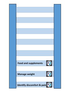 Arthritis management diagram 3rd rung