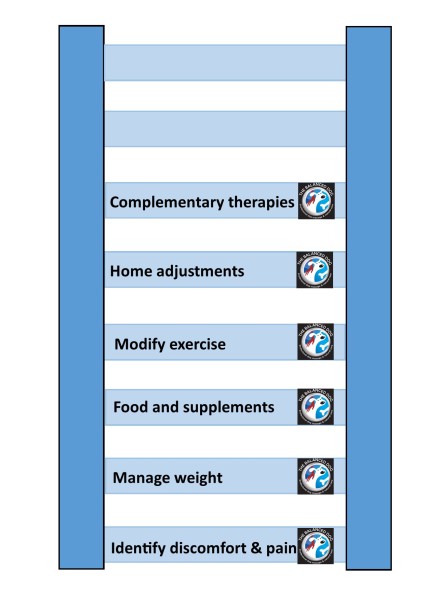 Arthritis management diagram