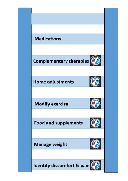 Arthritis management diagram - the ladder