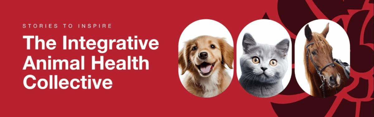 Interview of Kathleen Crisley with the Integrative Animal Health Collective